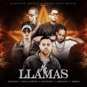 Me Llamas - Single