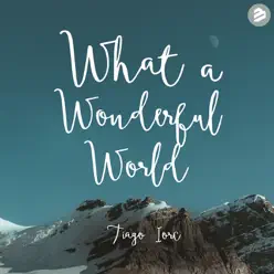 What a Wonderful World (Long Radio Edit) - Single - Tiago Iorc