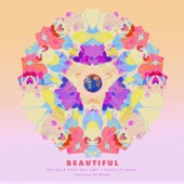 Beautiful (feat. Ed Waaka) artwork