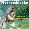 Nyonemhlophe - Incwad’engafundeki