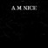 A.M. Nice - A.M. Nice