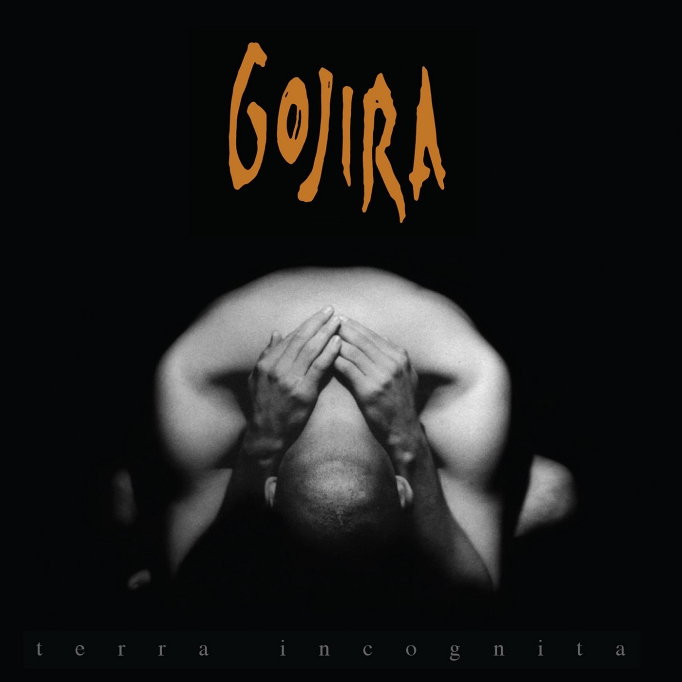 Terra Incognita by Gojira