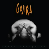 Terra Incognita cover