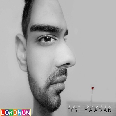 Teri Yaadan - Single