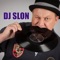 Krokodila (DJ Slon Radio Edit) - DJ Slon & LILI lyrics