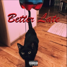 Different Stories (feat. Nev) Bobcat