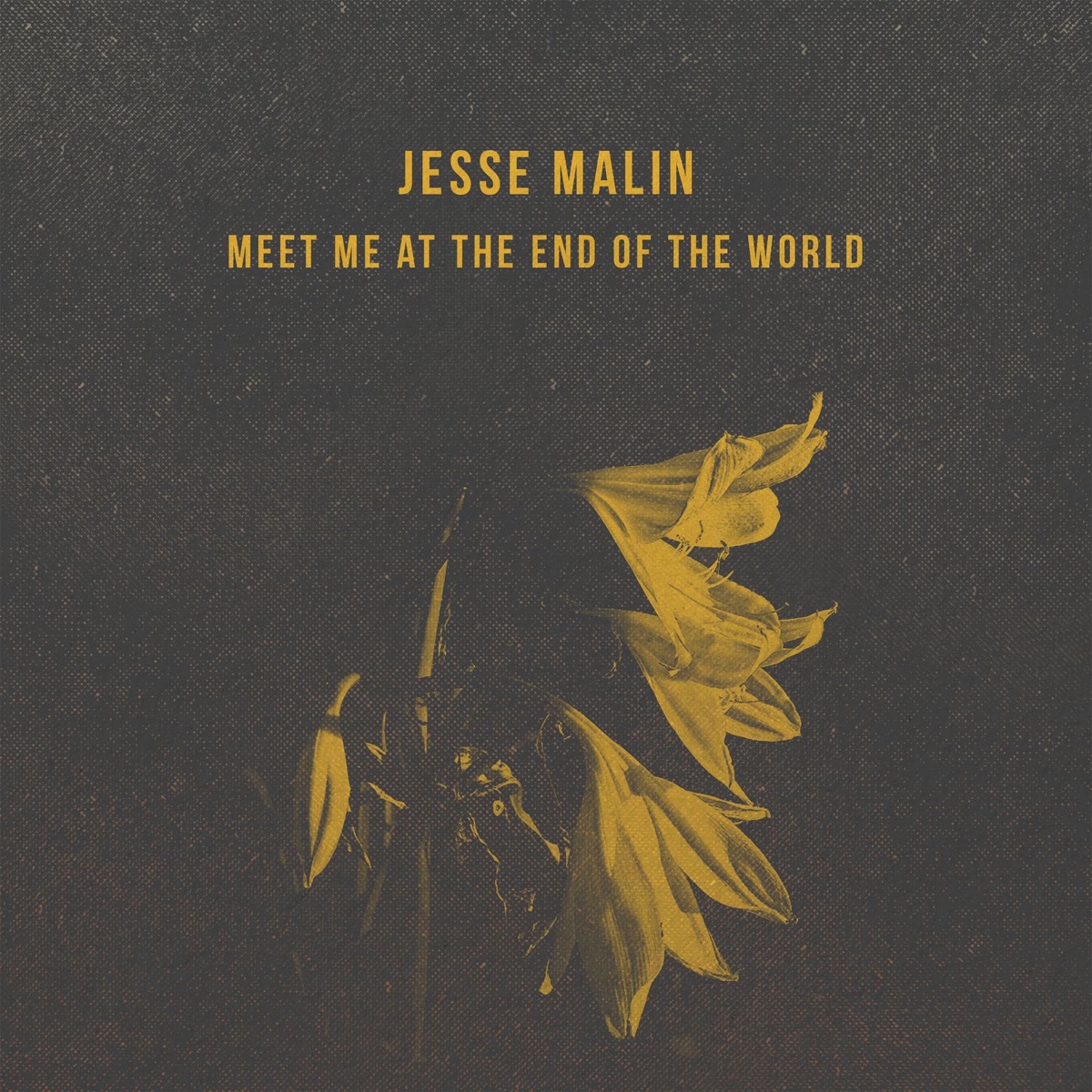 Sad And Beautiful World, Jesse Malin