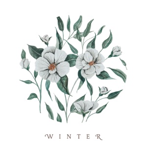 Song for a Winter's Night