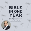 NIV Audio Bible in One Year Read by David Suchet (Unabridged) - New International Version