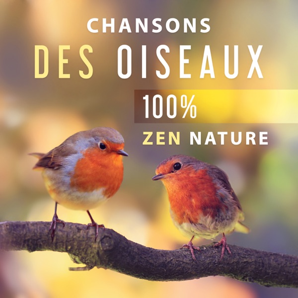 Chansons des oiseaux - 100% Zen nature musique pour la détente, Tranquillité, Relaxation et pratique de yoga et méditation
