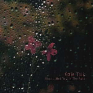 When I Met You in the Rain