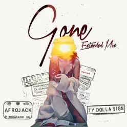 Gone (feat. Ty Dolla $ign) [Extended Mix] - Single - Afrojack