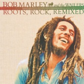 Bob Marley - Lively Up Yourself (Bombay Dub Orchestra Remix)