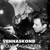 Võluri Tagasitulek song art