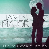 Say You Wont Let Go artwork