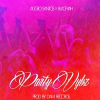 Party Vybz (feat. Aggro Santos & Blacfyah) - Single - DJ Assassin