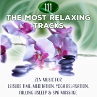 111 The Most Relaxing Tracks - Zen Music for Leisure Time, Meditation, Yoga Relaxation, Falling Asleep & Spa Massage - Hatha Yoga Music Zone