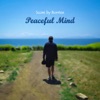 Peaceful Mind - Single