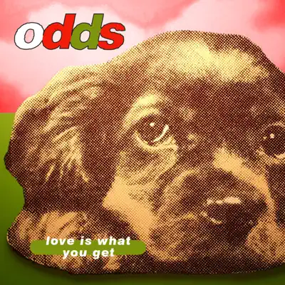 Love Is What You Get - Single - Odds
