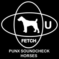 Horses - Single - Punx Soundcheck