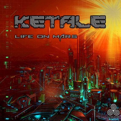 Life on Mars - Single