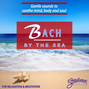 Orchestral Suite No. 3 in D Major, BWV 1068: II. Air on the G String