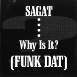 Why Is It? (Funk Dat) [Remixes]