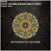 Ghost Nothing / Impenetrable Forest - Single