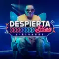 Despierta Bien