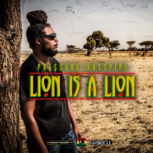 Lion Is a Lion