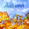 Autumn (feat. Alvin Queen)