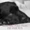 Happy Friends (New Age Music) - Pet Care Club lyrics