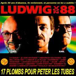 17 Plombs pour peter les tubes - Ludwig Von 88