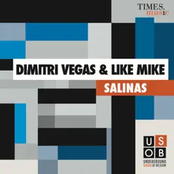 Salinas - Dimitri Vegas & Like Mike