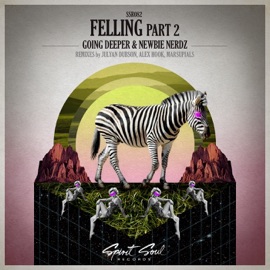 Feeling, Pt. 2 (Julyan Dubson Remix) Going Deeper & Newbie Nerdz