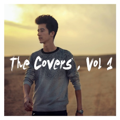 The Covers , Vol. 1