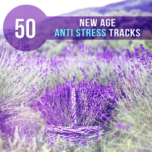 50 New Age Anti Stress Tracks: Relaxing Music to Reduce Stress, Natural Reiki Treatment, Stress Management, Healing Sound Therapy, Anxiety Free, Autogenic Training, Stress Relief