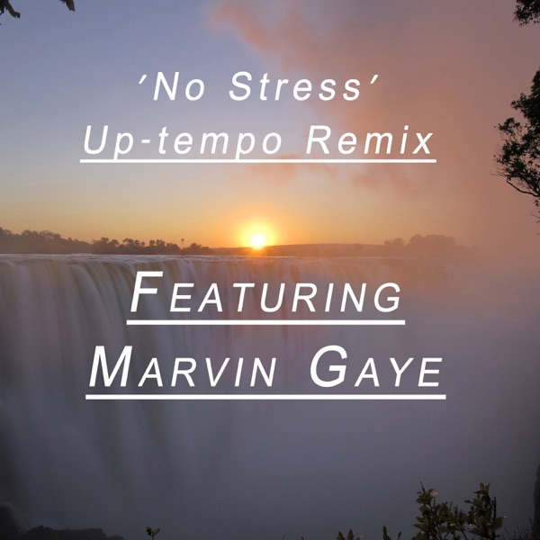 No Stress (Remix) [feat. Marvin Gaye] - Single album cover