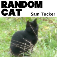 Random Cat - Single - Sam Tucker