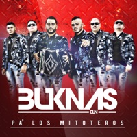 Pa' Los Mitoteros - Single - Buknas De Culiacan