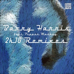 Dive in the Pool (feat. Pepper Mashay) [2K16 Remixes] - Single