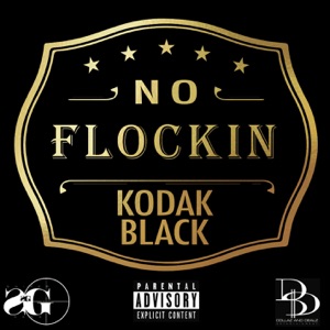 No Flockin