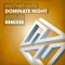 Dominate Night (Rick Tedesco's Luminescence Mix) - Another Note lyrics