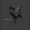 Drown in My Nihilism - Harakiri for the Sky lyrics