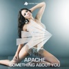 Something About You (Radio Edit)