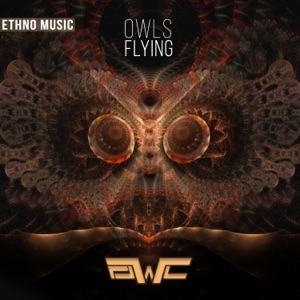 Owls Flying - Single