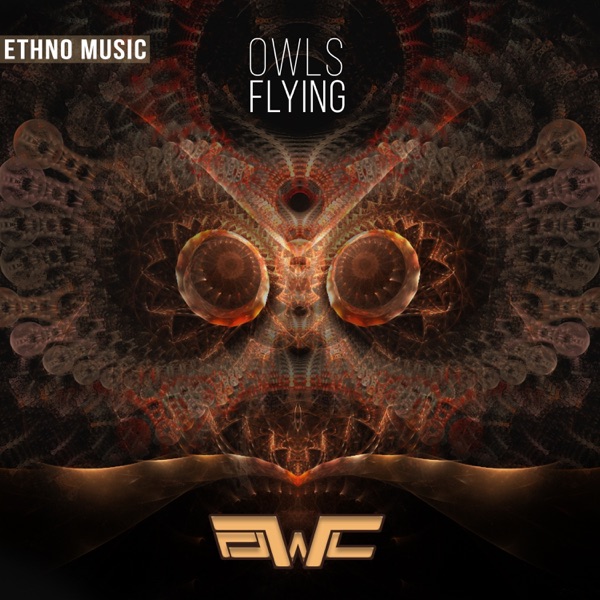 Owls Flying - Single