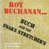 Since You've Been Gone - Roy Buchanan