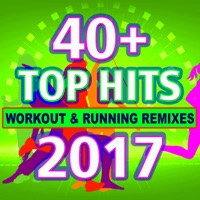Album cover for Panda (Workout & Running Remix) by Sonic Cloud