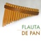 Pensamientos Positivos - Flauta de Pan lyrics